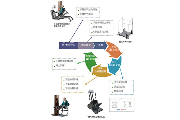 運(yùn)動(dòng)康復(fù)