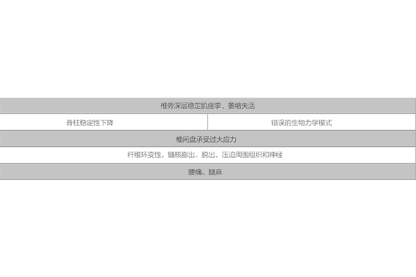 運(yùn)動(dòng)康復(fù)